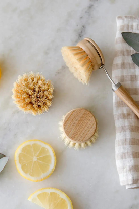 Bamboo Dish Brush Replacement Head