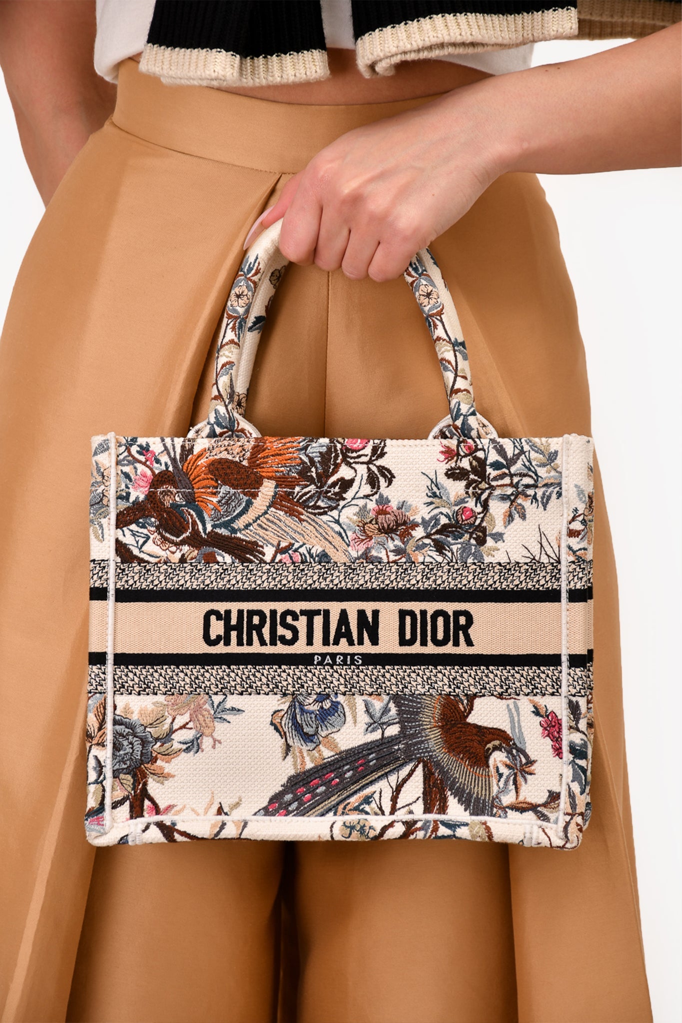 Christian Dior 2022 Small Jardin d'Hiver' Book Tote