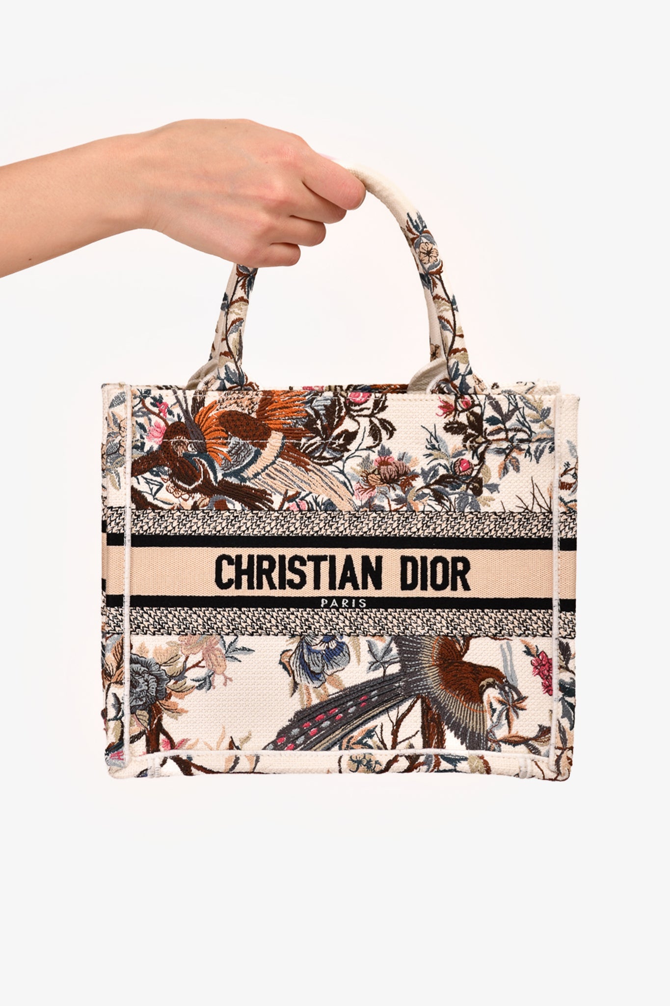 Christian Dior 2022 Small Jardin d'Hiver' Book Tote