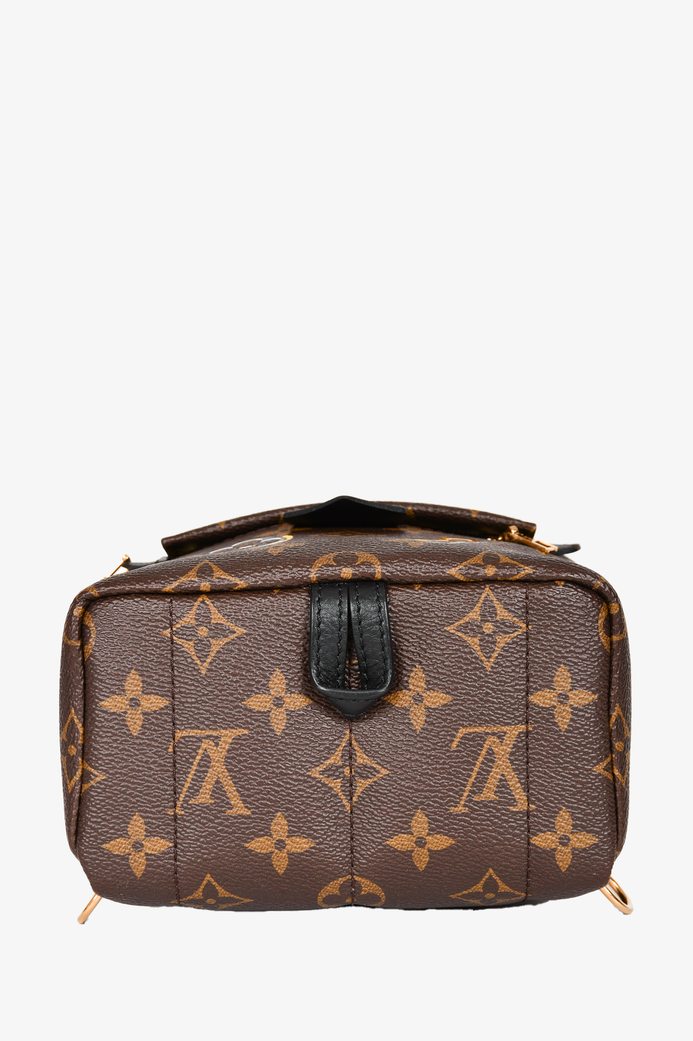 Louis Vuitton 2019 Brown Monogram Love Lock Palm Spring Backpack