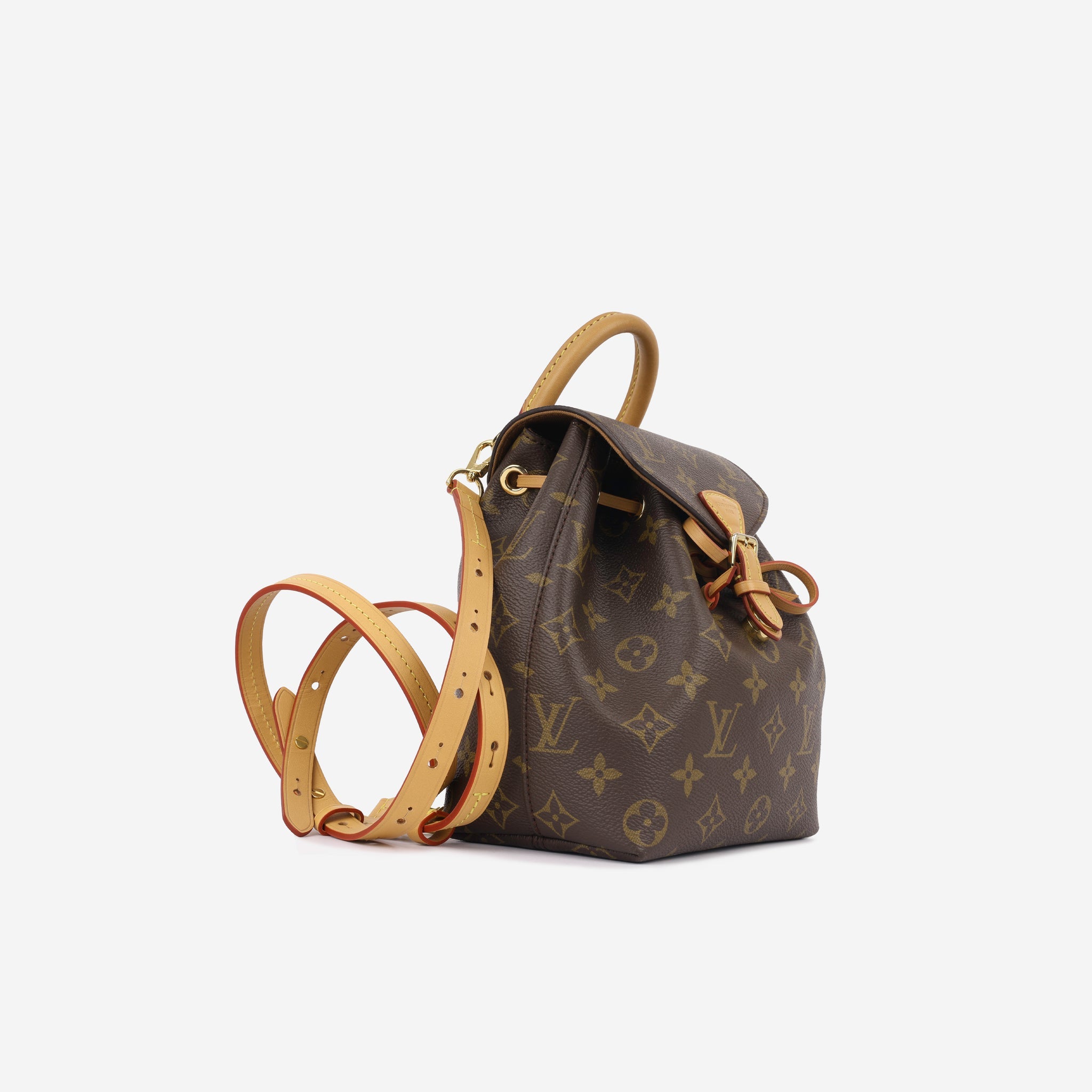 Louis Vuitton Montsouris Backpack - BB