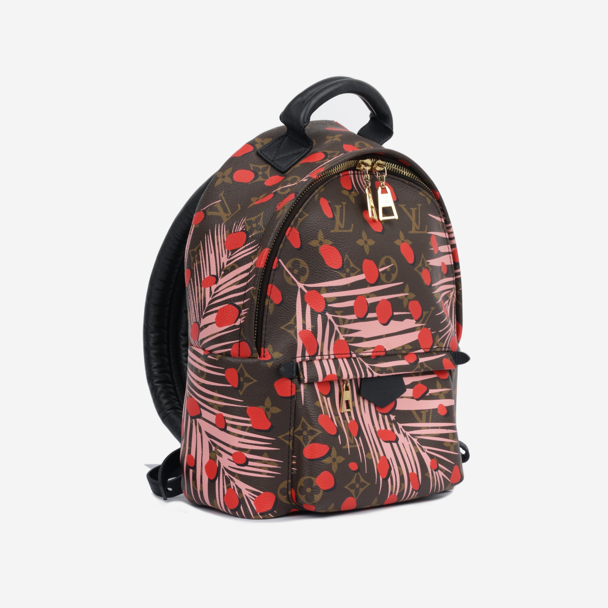 Louis Vuitton Palm Springs Backpack PM