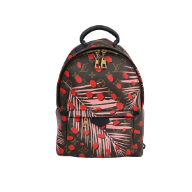 Louis Vuitton Palm Springs Backpack PM