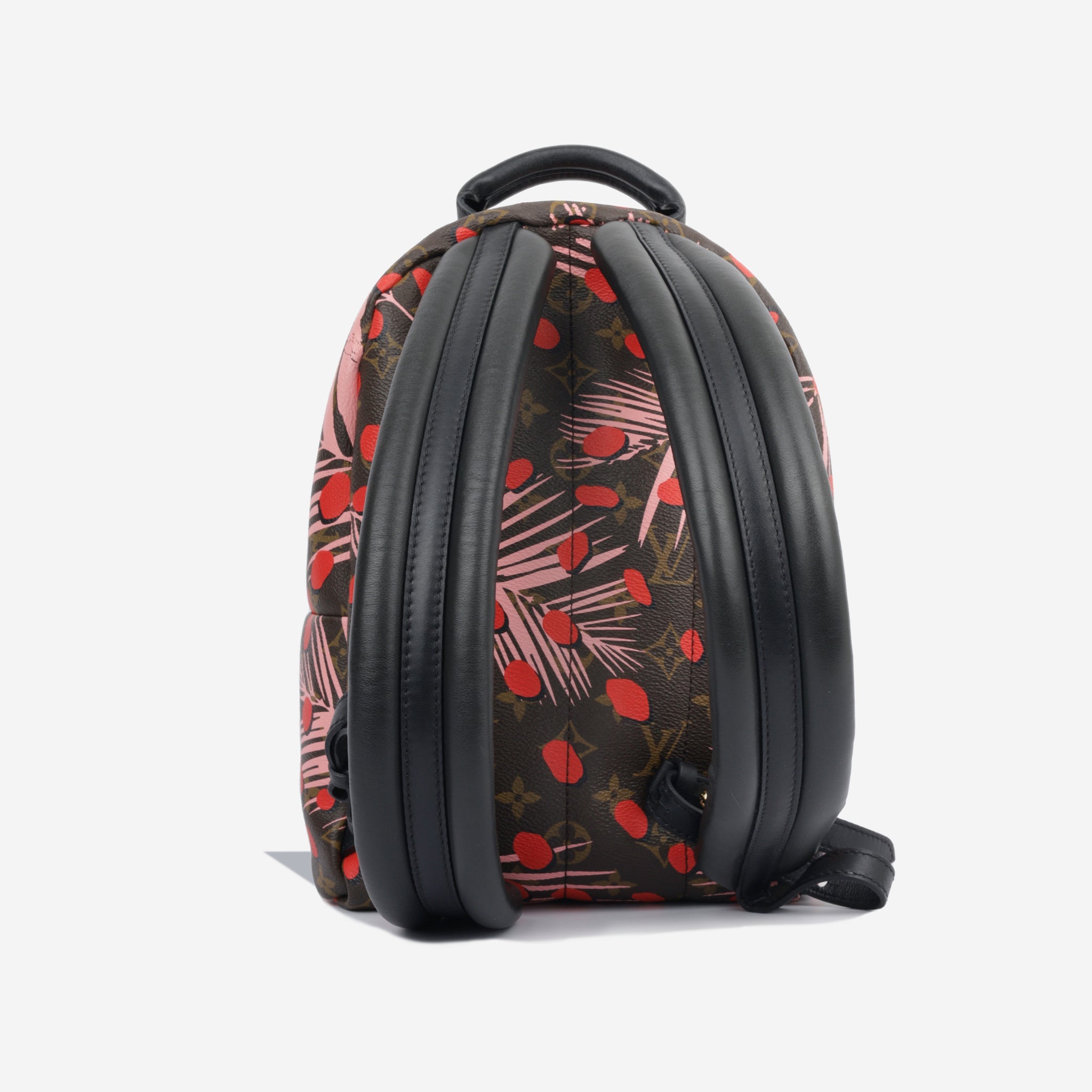 Louis Vuitton Palm Springs Backpack PM