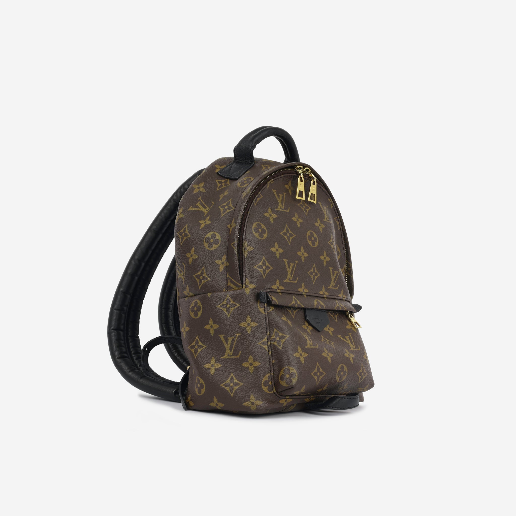 Louis Vuitton Palm Springs Backpack PM