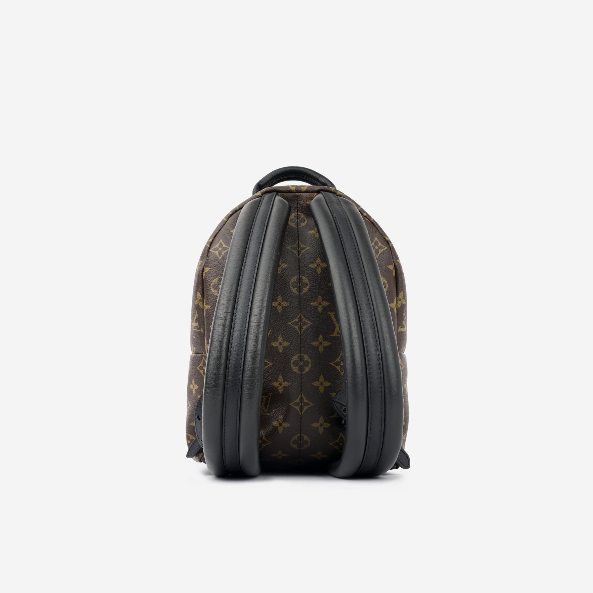 Louis Vuitton Palm Springs Backpack PM