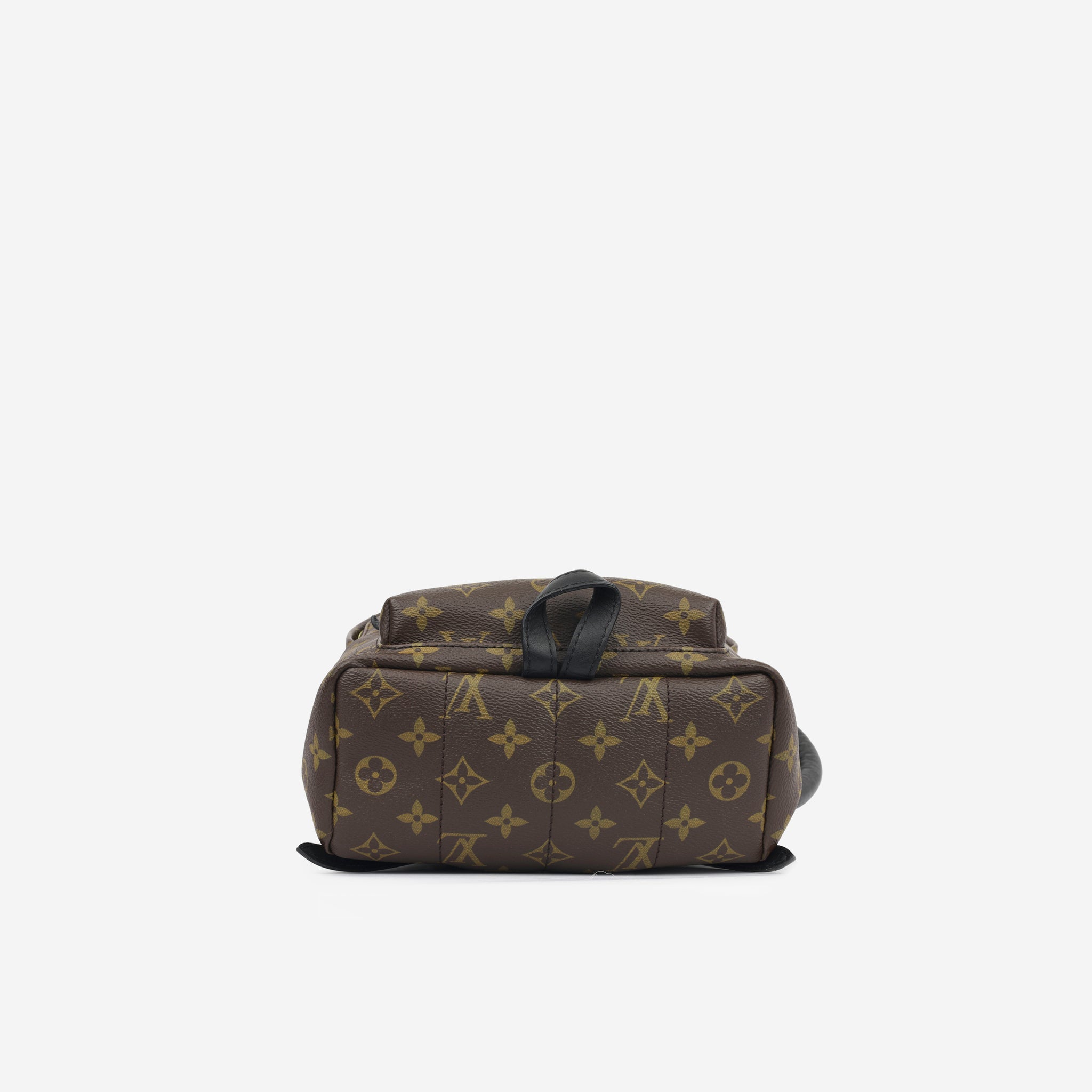 Louis Vuitton Palm Springs Backpack PM