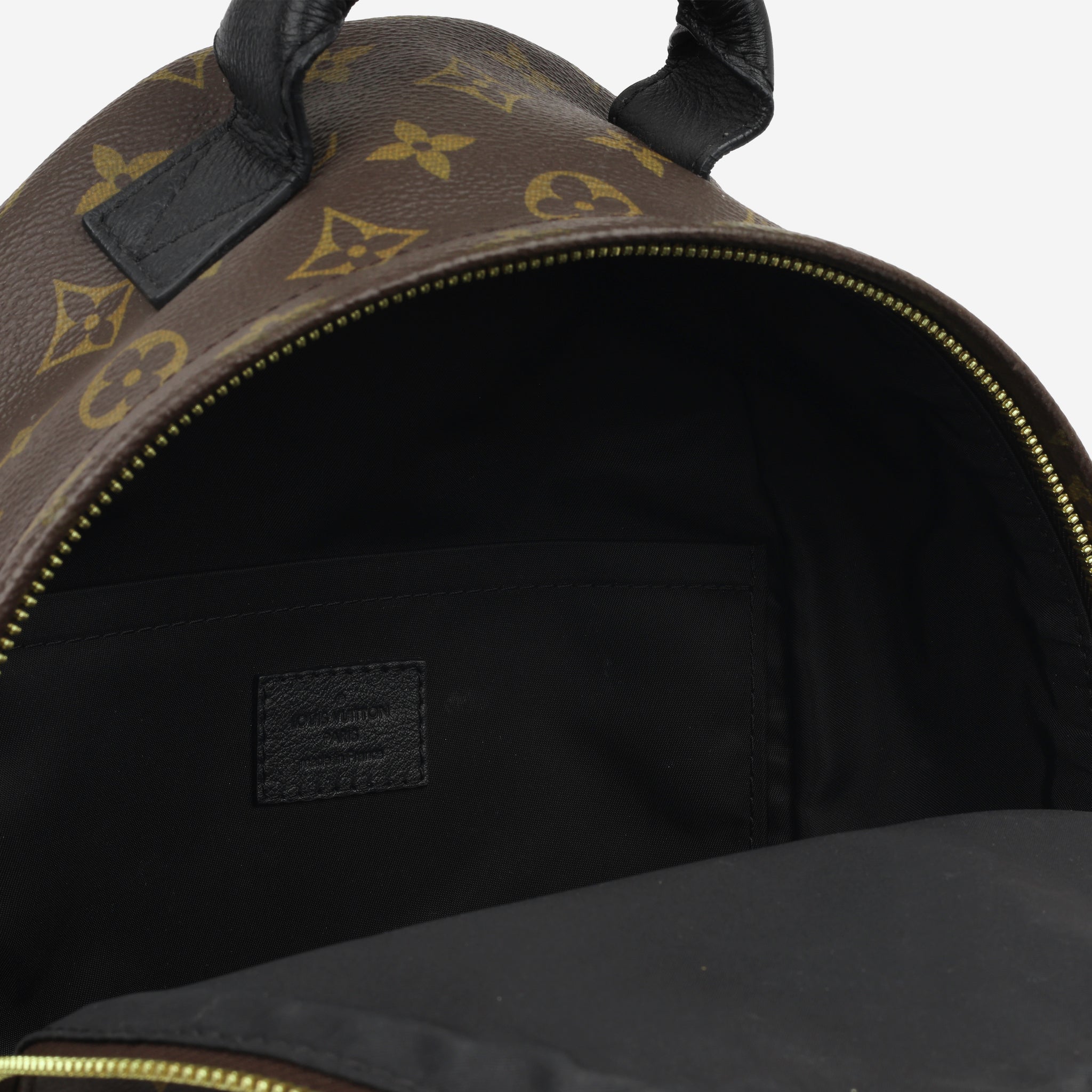 Louis Vuitton Palm Springs Backpack PM