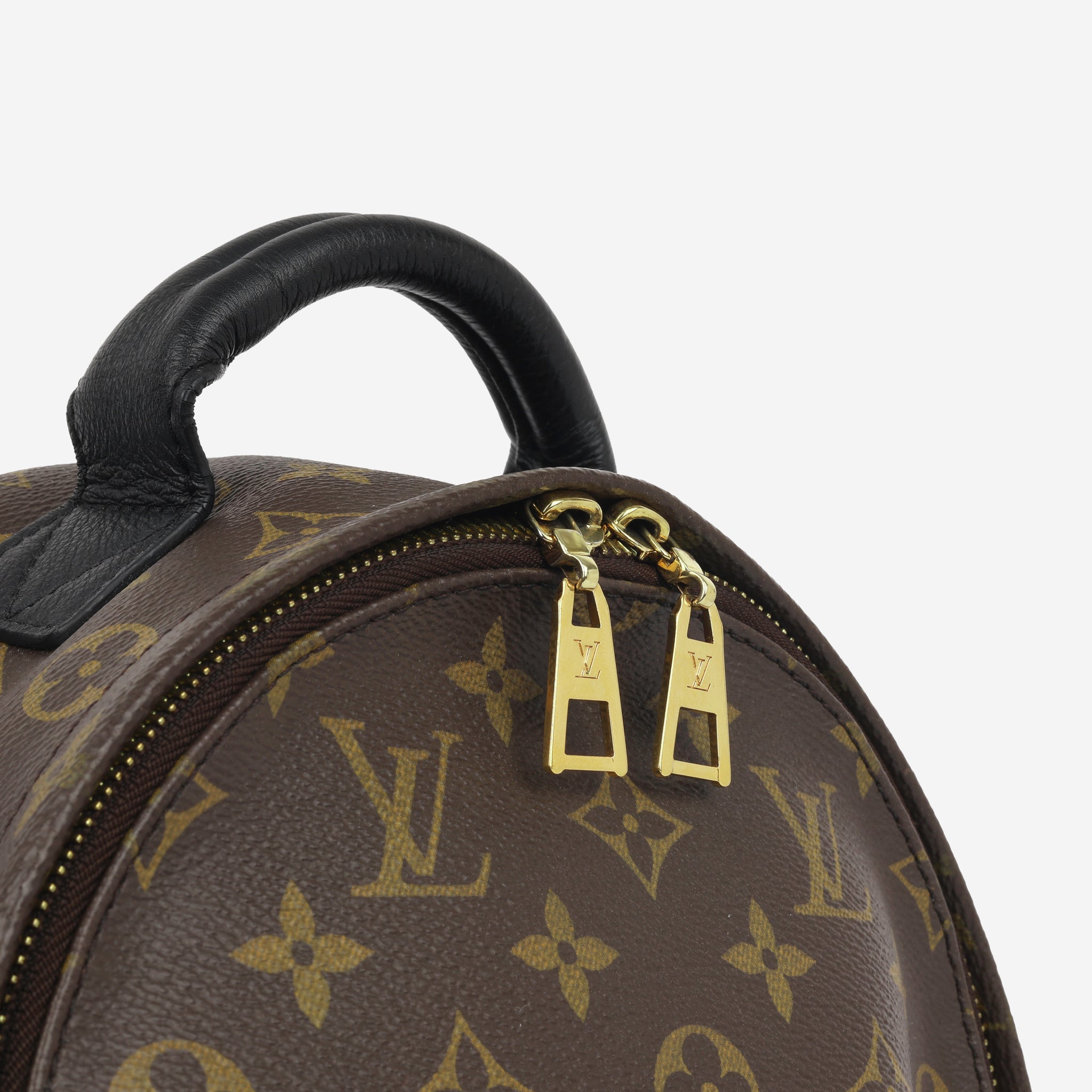 Louis Vuitton Palm Springs Backpack PM