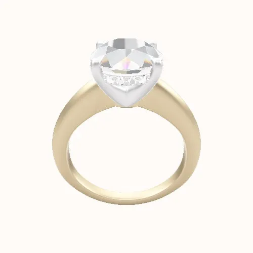 Modern Knife Edge Engagement Ring With V Prong with Hidden Halo Head